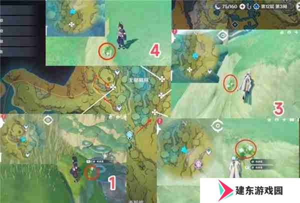 原神劫波莲最佳采集路线一览