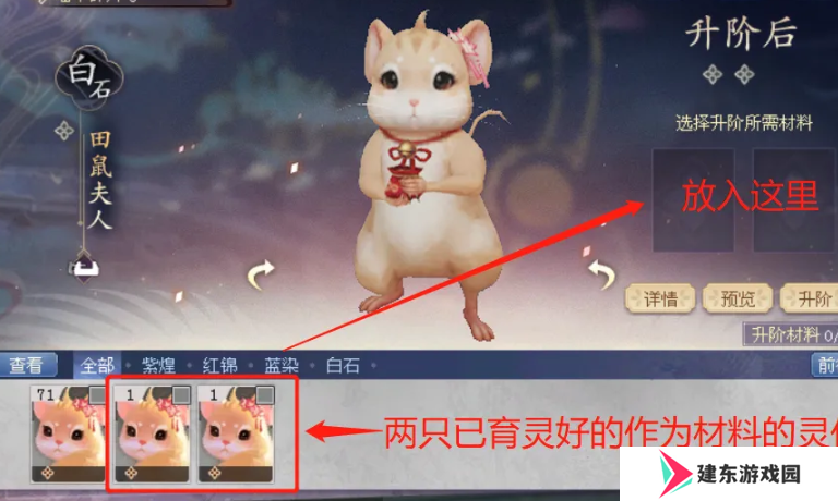 《倩女幽魂》灵伴升阶方法