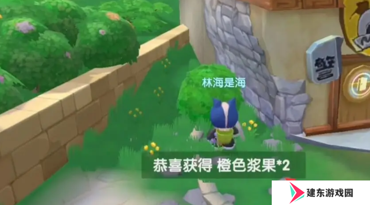 《摩尔庄园》橙色浆果获取方法