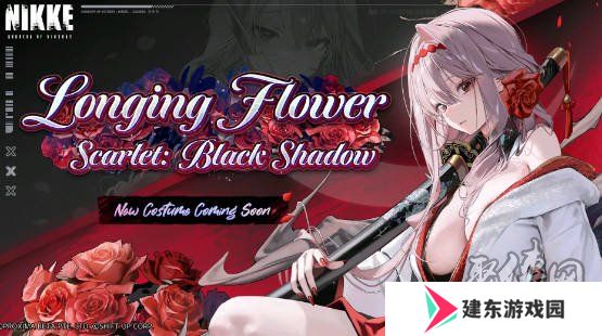 nikke胜利女神2周年兑换码大全 妮姬胜利女神2周年福利活动汇总