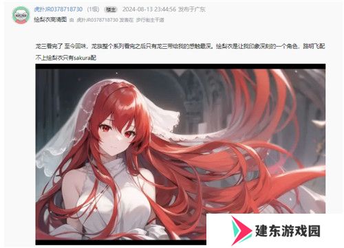 今年虎扑女神大赛，《龙族》粉丝集体演了一出“越共探头”