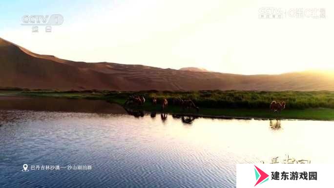 太阳直播TV版电视盒子版