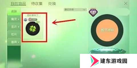 球球大作战加速器ios直装截图