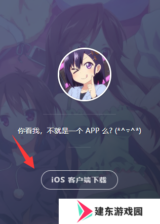age动漫ios苹果版