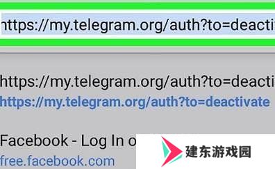 纸飞机telegraph(官网版)