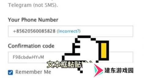 纸飞机官方