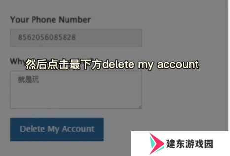 纸飞机官方