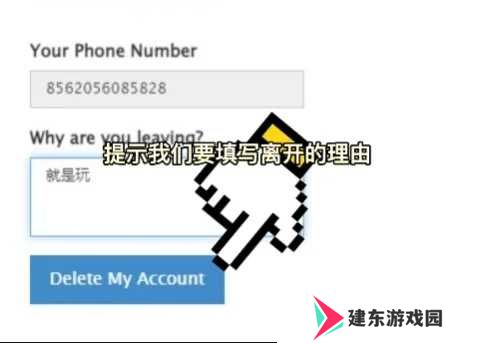 纸飞机官方