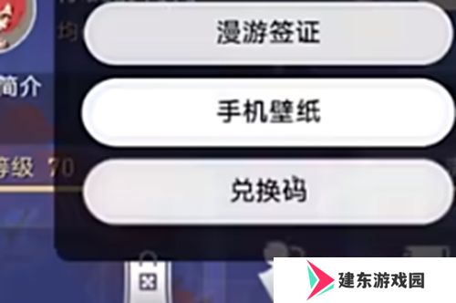 崩坏星穹铁道2.4前瞻直播兑换码 最新可用300星琼兑换码分享