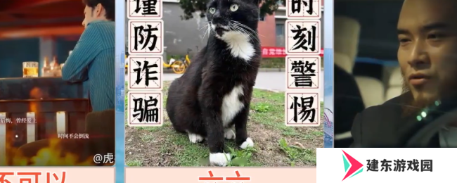《情感反诈模拟器》全角色评分评价分享
