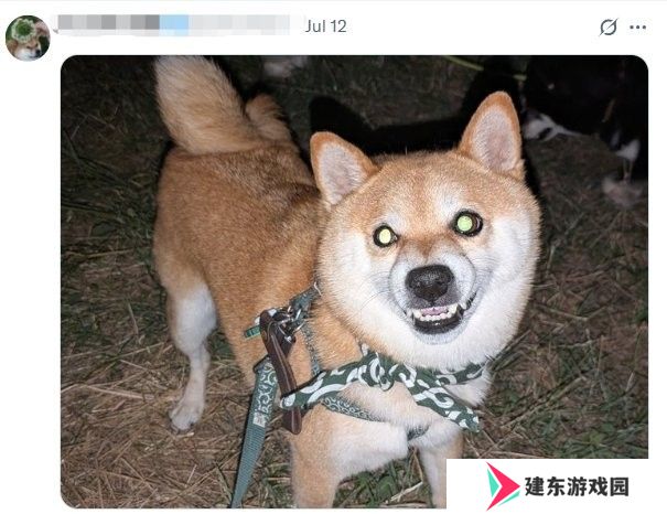 你的宠物够吓人吗？ 《生化危机》官方收集恐怖宠物照